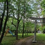 諏訪神社鳥居と境内
