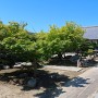 矢合城 城跡に建つ尾張国分寺