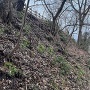 主郭東斜面の切岸