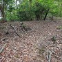 登山道から眺める三ノ丸