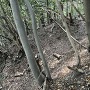 竪堀