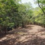 東から眺める主郭風景