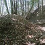 柳生古城 クランク状堀切 西側の折れ