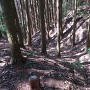 柳生古城 主郭部南の堀切を上から
