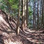 柳生古城 主郭部南の堀切