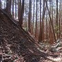 柳生古城 主郭北の堀切②