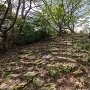 主郭下腰曲輪への石段