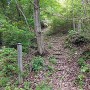 中二の丸への登山道