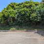 土塁跡