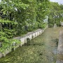 赤松小学校南側の堀