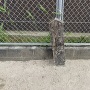 「龍造寺隆信公誕生地」石碑