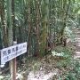 馬乗り馬場
