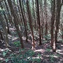 三重の畝状竪堀