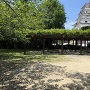 展望広場