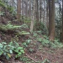 本丸切岸