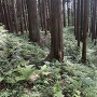 二の丸北側の横堀