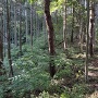 尾根筋