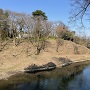 本丸の土塁