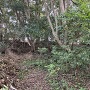神社奥の郭跡