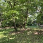 主郭跡から愛宕神社を望む