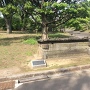 憲政記念館敷地内にある櫻の井