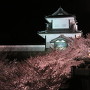 春の夜に浮かび上がる石川櫓と桜