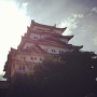 逆光の名古屋城