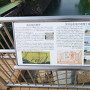 高松城の歴史　　天守台石垣の修理工事