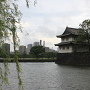 ある夏の日の江戸城