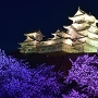 姫路城さくら祭りを楽しむ
