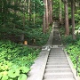 高倉神社の階段