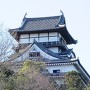 犬山城の鯱