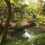 下茶屋公園の池