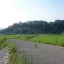 岩尾城遠景