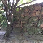 広島城本丸中之の石垣