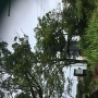 水堀から見る田中吉政公像