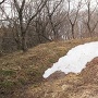 残雪が残る物見山砦入口（2017.3）