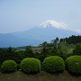 山中城から見える富士山[提供：三島市役所商工観光課観光政策室]