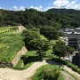 三ノ丸庭園跡