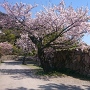 海岸線の石垣