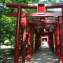 烏森稲荷神社の鳥居