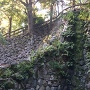 糜城の滝