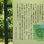 茶臼山城（砦側）の説明板