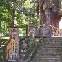 白山神社入口にある大杉