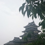 雨の松本城