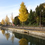 秋の水城公園
