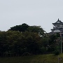 雨の浜松城