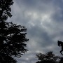 曇り空の政宗騎馬像