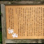金ヶ崎城跡の説明板