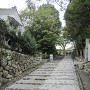 犬山城への道